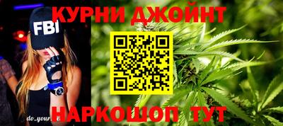 сатива Моздок