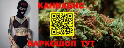 сатива Моздок